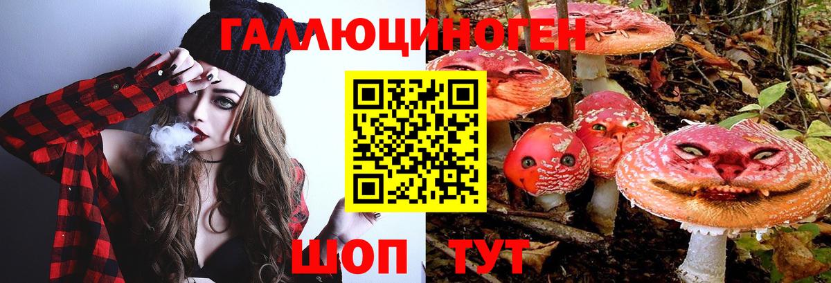 Сыктывкар  Псилоцибиновые грибы Psilocybine cubensis  где можно купить   Вход с VPN  Псилоцибиновые грибы прущие грибы 